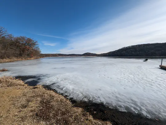 Climate change and phenology